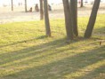 /album/fotogaleria/a101-3821-jpg/